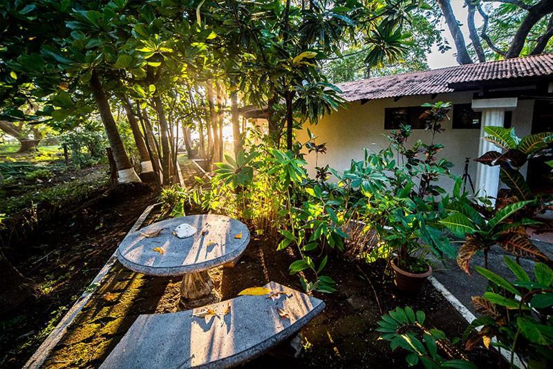 Hotel Hibiscus Cabina 4 Playa Junquillal 외부 사진