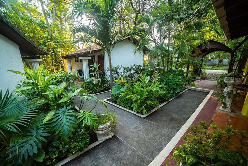 Hotel Hibiscus Cabina 4 Playa Junquillal 외부 사진